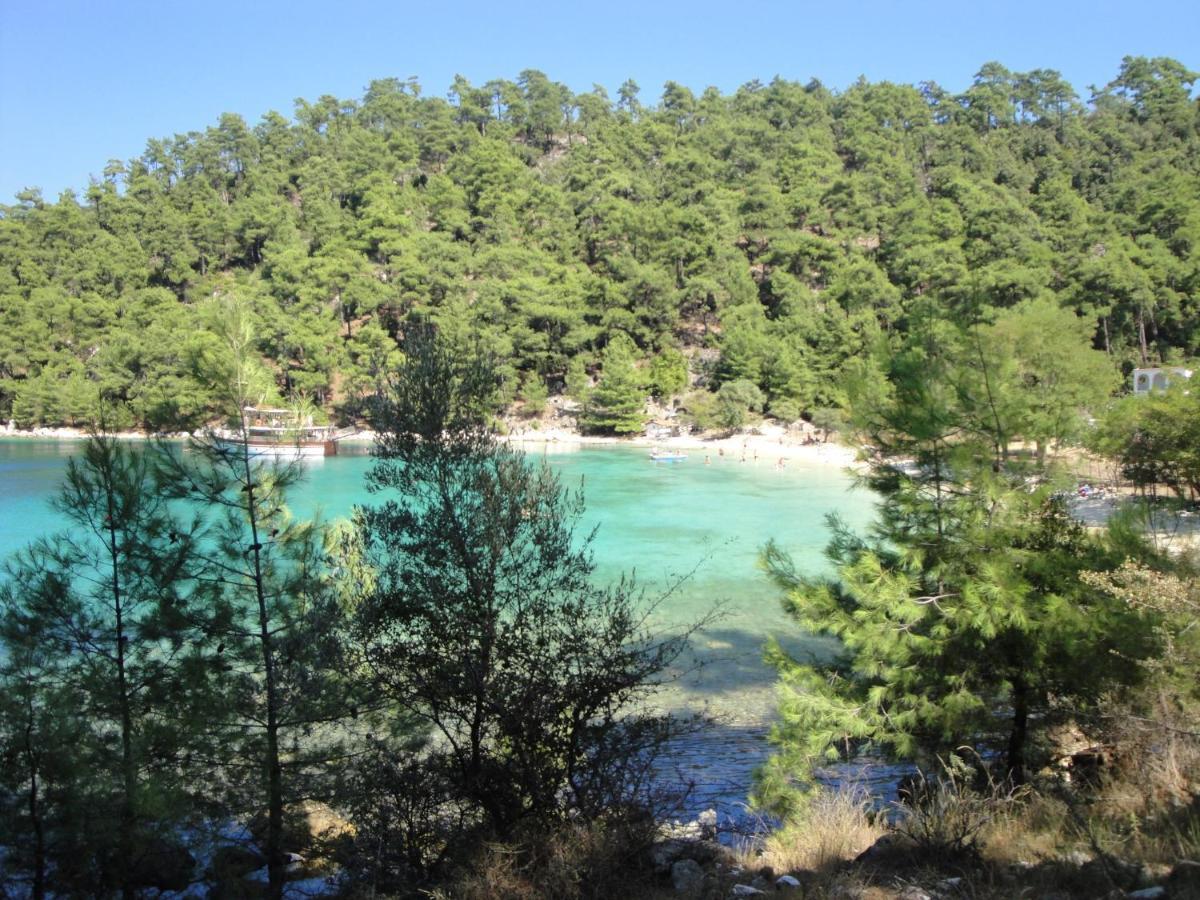 Nestor Apartments Chrysi Ammoudia Dış mekan fotoğraf
